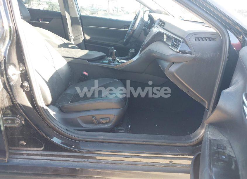 Photo 5 of 2019 Toyota Camry XLE (VIN 4T1B11HK8KU820433)