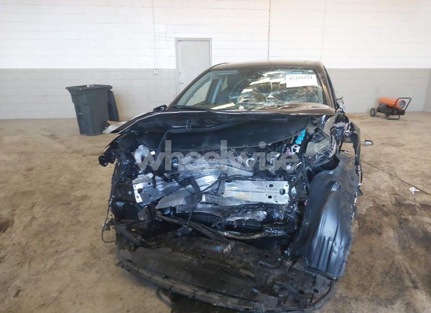 Photo 13 of 2019 Toyota Camry L/LE/XLE/SE/XSE (VIN 4T1B11HK8KU842044)