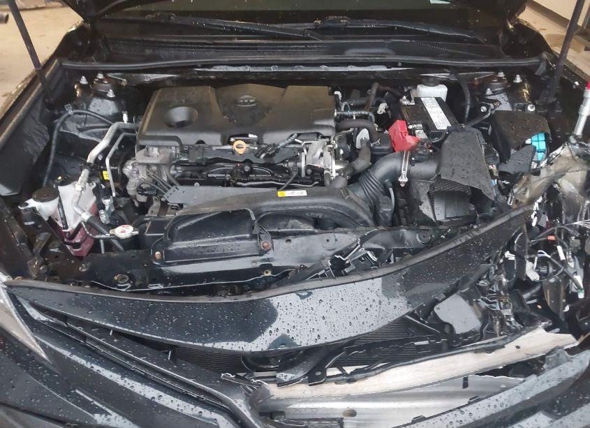 Photo 10 of 2019 Toyota Camry LE (VIN 4T1B11HK9KU815242)