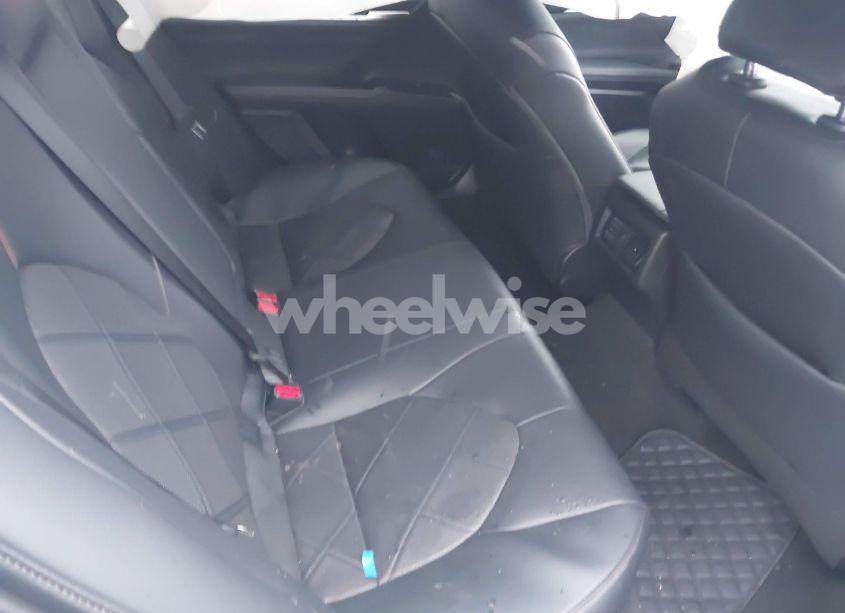 Photo 8 of 2019 Toyota Camry XLE (VIN 4T1B11HKXKU275707)