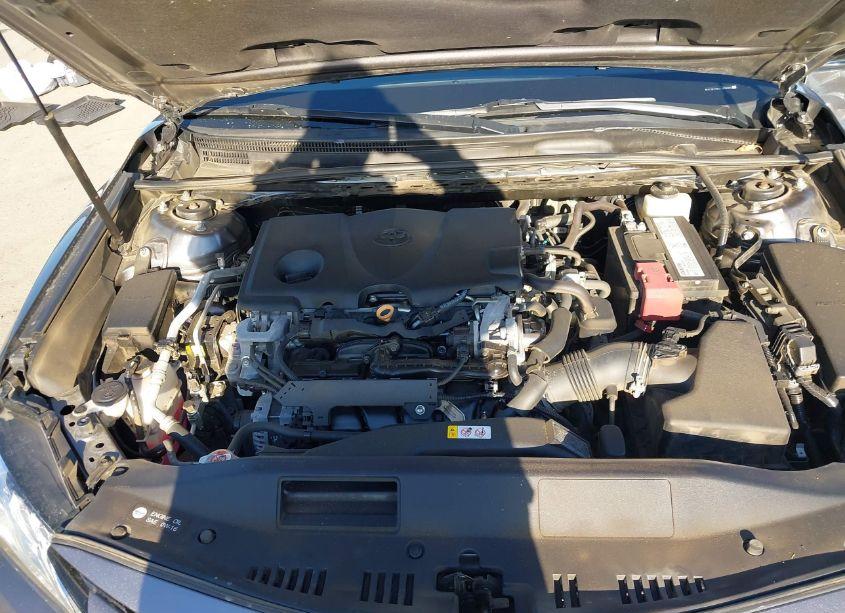 Photo 10 of 2019 Toyota Camry XLE (VIN 4T1B11HKXKU759392)