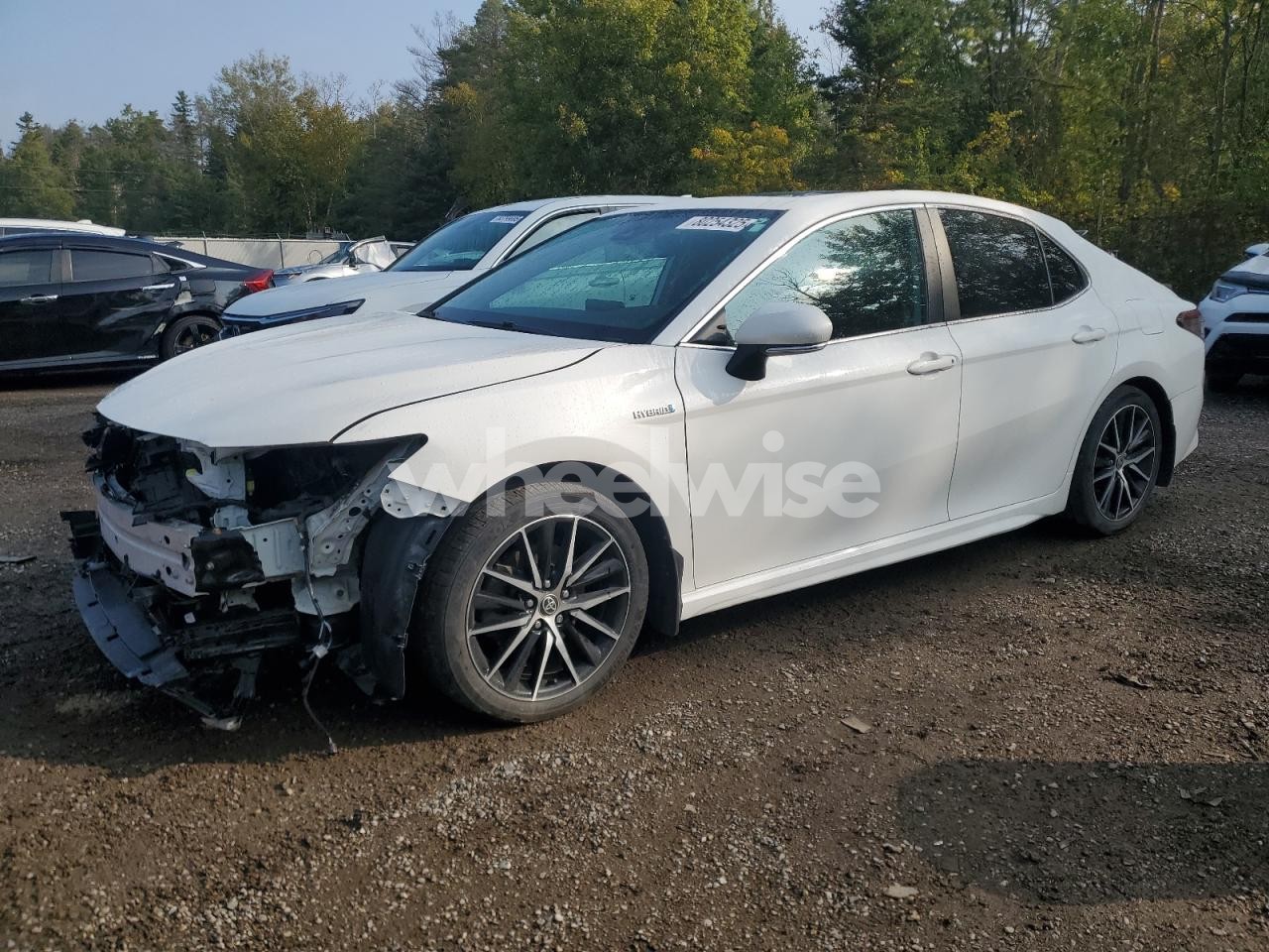 2021 TOYOTA CAMRY XLE (VIN 4T1B21HK1MU015261) main photo