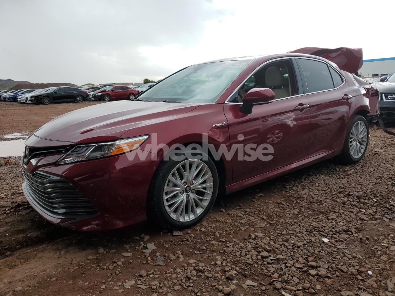 2019 TOYOTA CAMRY HYBRID (VIN 4T1B21HK5KU515405) main photo