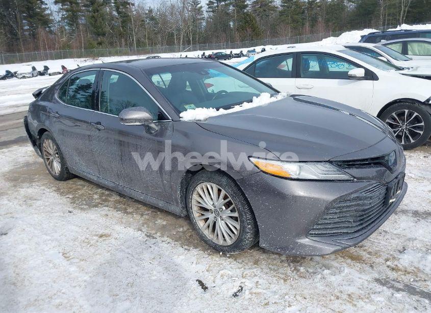 2019 Toyota Camry HYBRID XLE (VIN 4T1B21HK9KU511194) main photo