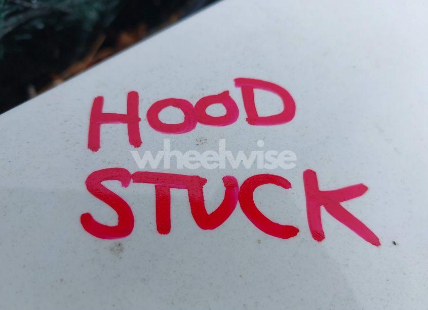 Photo 10 of 2019 Toyota Camry HYBRID LE (VIN 4T1B31HK8KU008558)