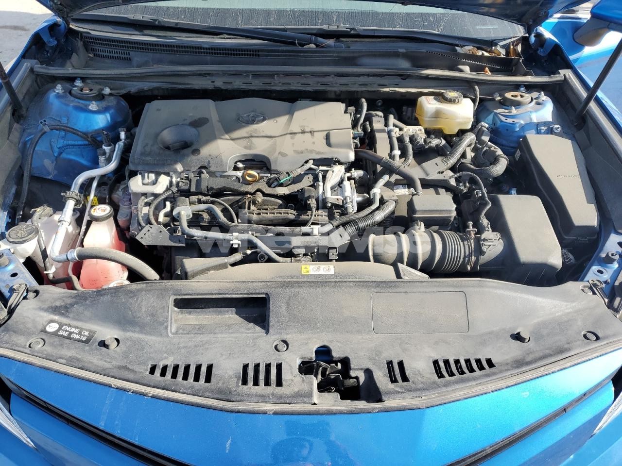 Photo 11 of 2019 TOYOTA CAMRY LE (VIN 4T1B31HK8KU008592)