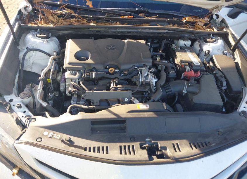 Photo 10 of 2019 Toyota Camry XSE (VIN 4T1B61HK7KU239796)