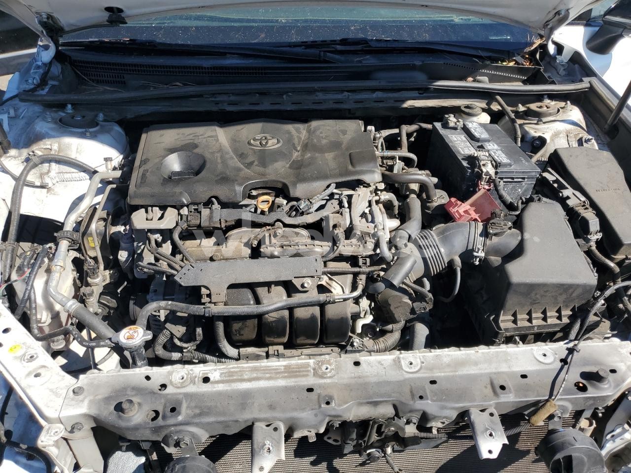 Photo 11 of 2019 TOYOTA CAMRY XSE (VIN 4T1B61HKXKU180453)