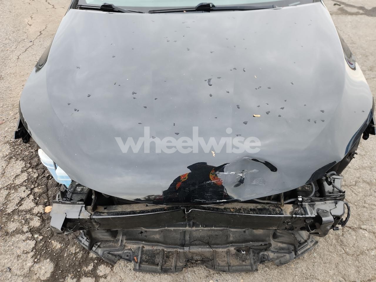 Photo 11 of 2015 TOYOTA CAMRY HYBRID (VIN 4T1BD1FK0FU152983)