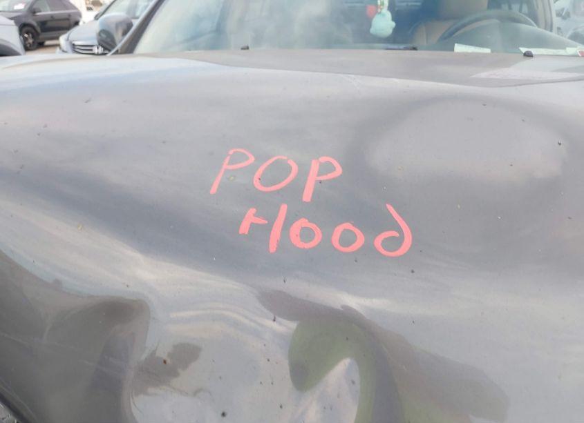 Photo 10 of 2006 Toyota Camry LE (VIN 4T1BE32K66U642908)