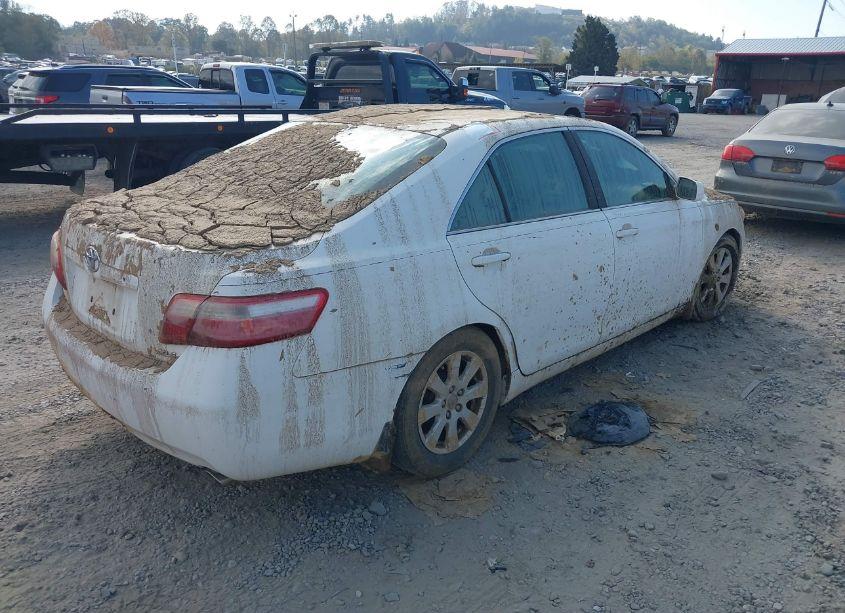 Photo 4 of 2009 Toyota Camry XLE (VIN 4T1BE46K09U919962)