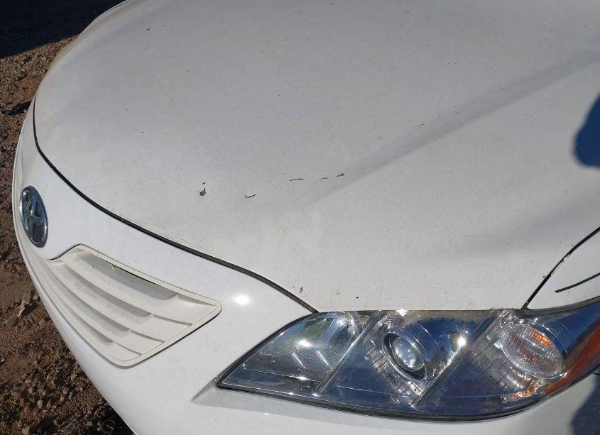 Photo 6 of 2009 Toyota Camry LE (VIN 4T1BE46K29U883482)