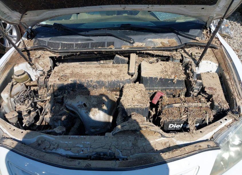 Photo 10 of 2009 Toyota Camry LE (VIN 4T1BE46K59U897621)