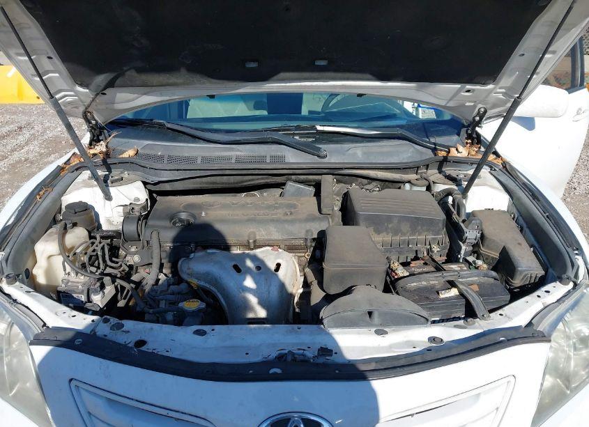 Photo 10 of 2009 Toyota Camry LE (VIN 4T1BE46K89U908675)