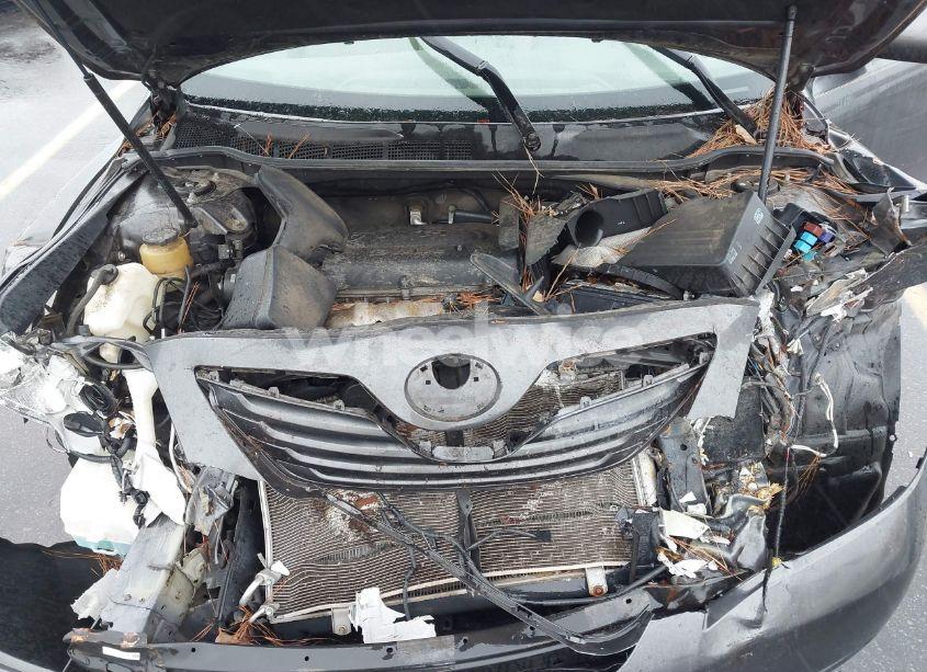 Photo 10 of 2009 Toyota Camry LE (VIN 4T1BE46K99U862953)