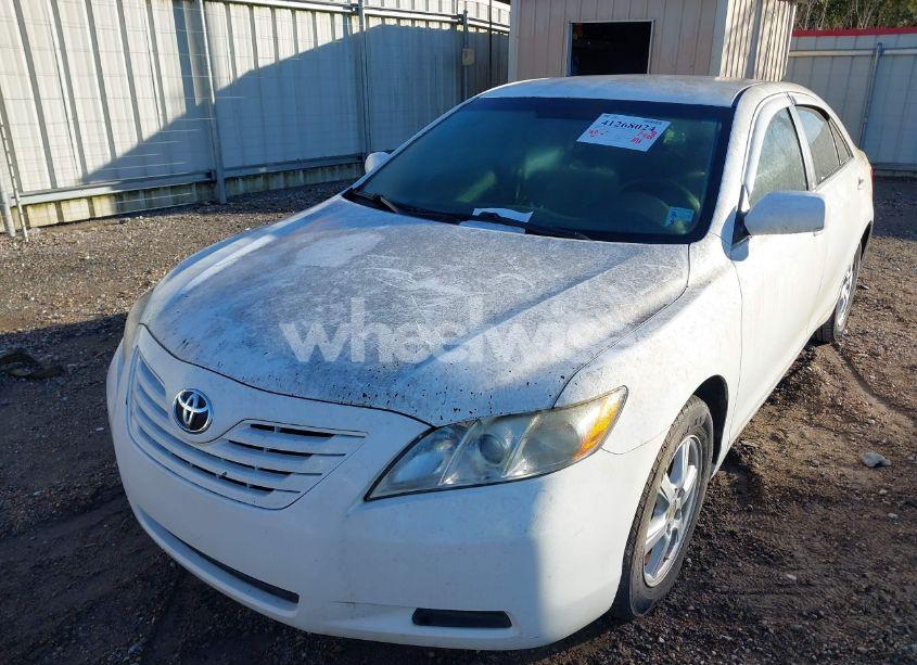 Photo 6 of 2009 Toyota Camry LE (VIN 4T1BE46K99U867666)