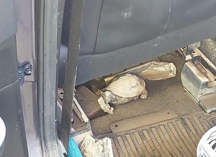 Photo 12 of 2014 Toyota Camry SE (VIN 4T1BF1FK0EU439264)