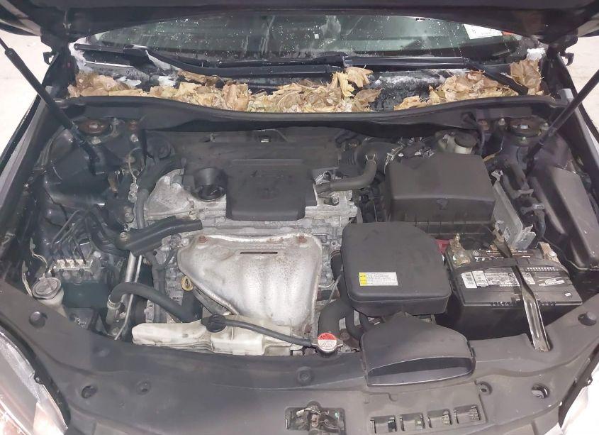 Photo 10 of 2016 Toyota Camry SE (VIN 4T1BF1FK1GU127215)