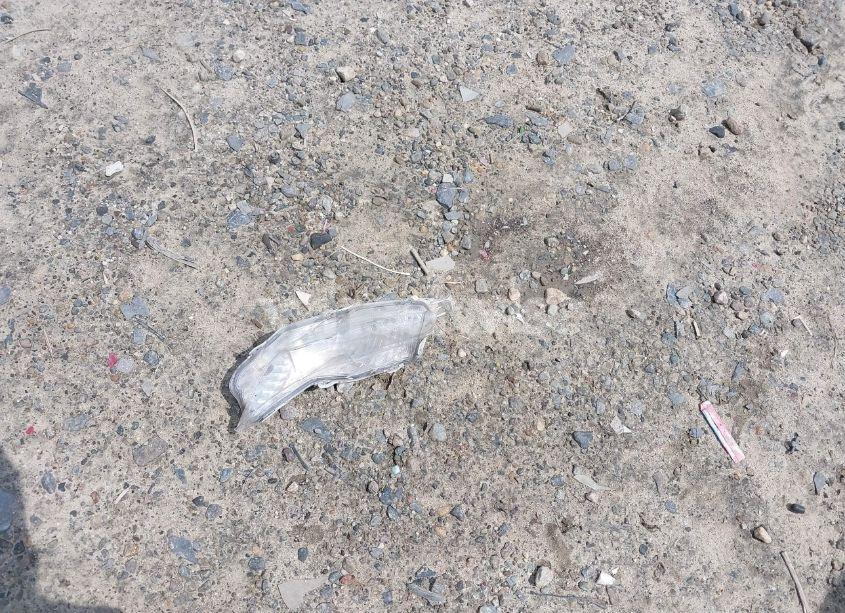 Photo 12 of 2016 Toyota Camry SE (VIN 4T1BF1FK1GU181503)