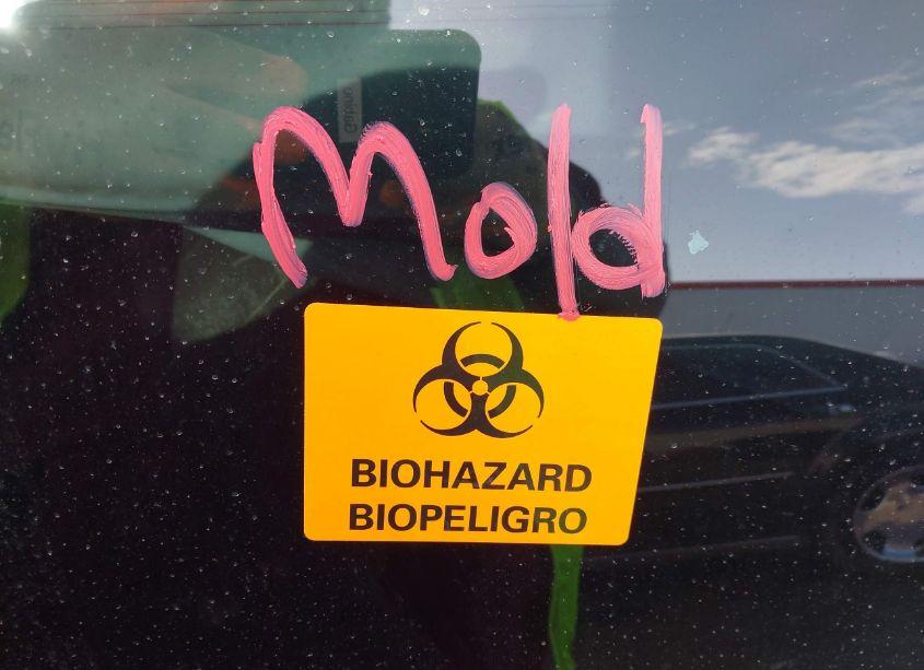 Photo 7 of 2017 Toyota Camry SE (VIN 4T1BF1FK3HU432670)