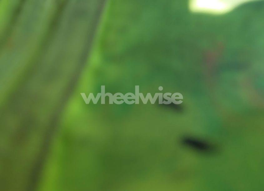 Photo 10 of 2017 Toyota Camry LE (VIN 4T1BF1FK4HU724313)