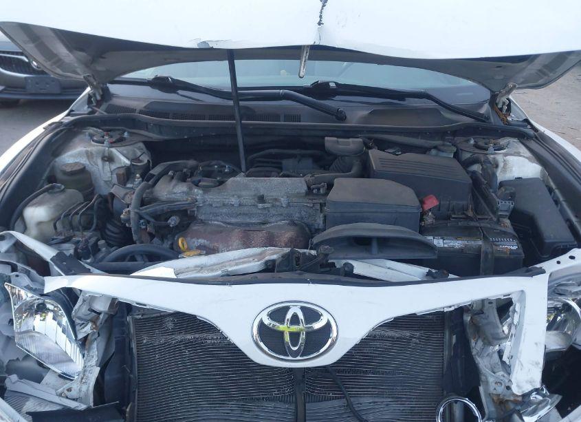 Photo 10 of 2010 Toyota Camry LE (VIN 4T1BF3EK0AU569133)