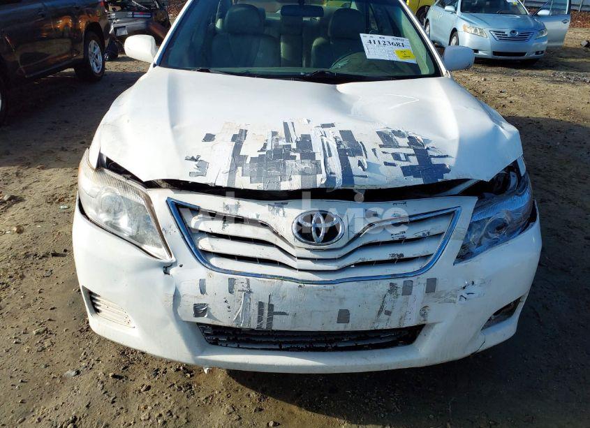 Photo 6 of 2010 Toyota Camry LE (VIN 4T1BF3EK0AU574185)