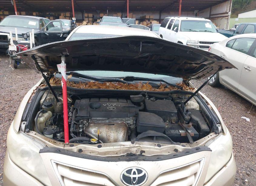 Photo 10 of 2010 Toyota Camry LE/SE/XLE (VIN 4T1BF3EK1AU078327)