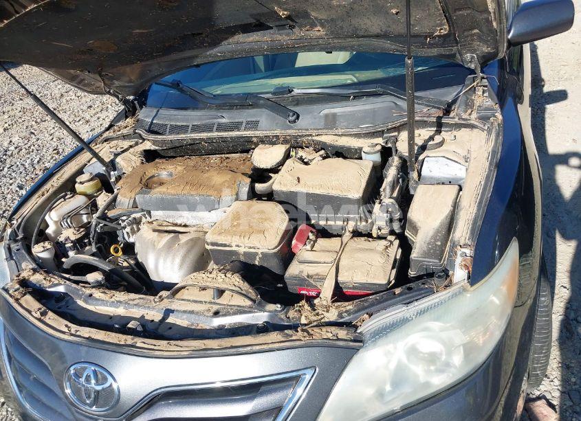 Photo 10 of 2010 Toyota Camry LE (VIN 4T1BF3EK1AU103095)