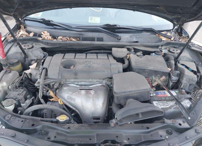 Photo 10 of 2010 Toyota Camry XLE (VIN 4T1BF3EK2AU100495)