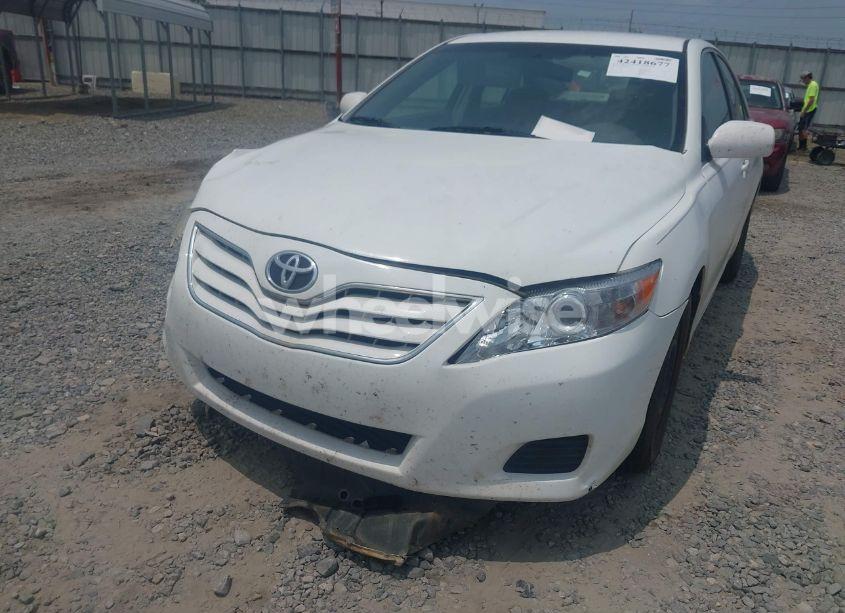 Photo 6 of 2010 Toyota Camry LE (VIN 4T1BF3EK8AU530032)