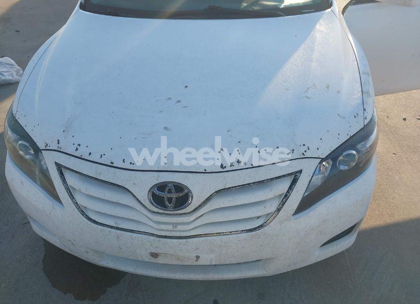 Photo 12 of 2010 Toyota Camry LE (VIN 4T1BF3EK9AU551309)