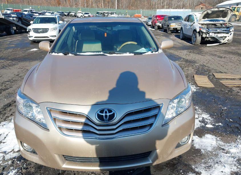 Photo 12 of 2010 Toyota Camry LE (VIN 4T1BF3EKXAU028851)