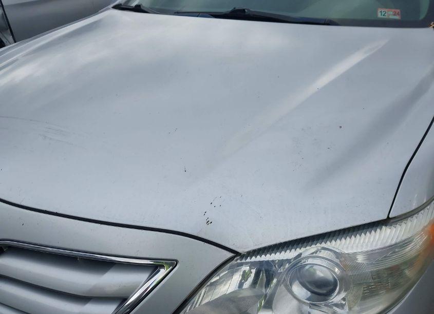 Photo 12 of 2010 Toyota Camry LE (VIN 4T1BF3EKXAU075037)