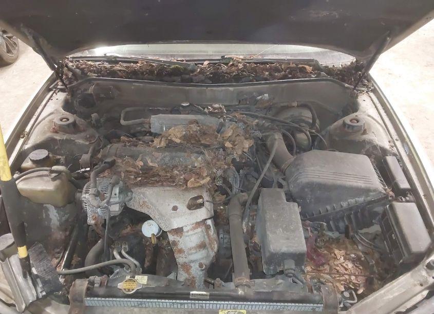 Photo 10 of 1996 Toyota Camry DX/LE/XLE (VIN 4T1BG12K2TU742174)