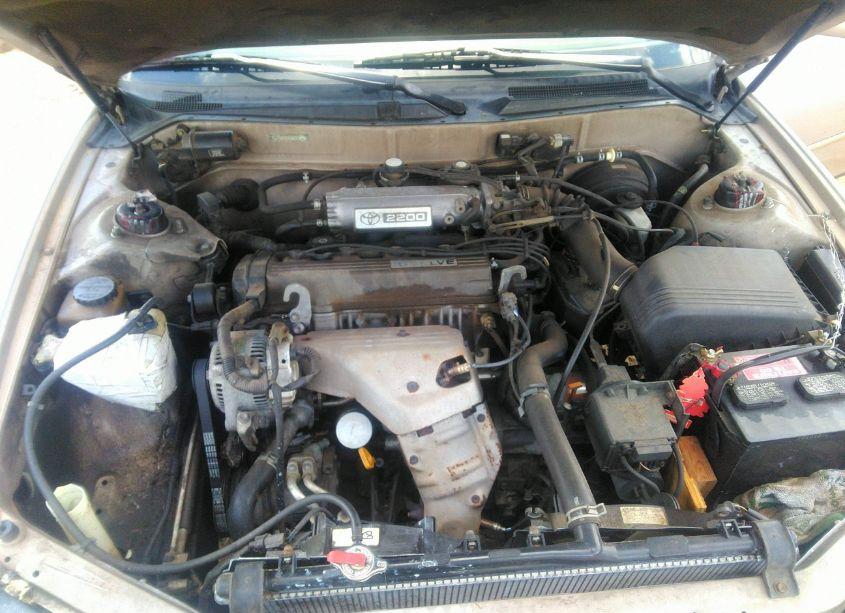 Photo 10 of 1996 Toyota Camry DX/LE/XLE (VIN 4T1BG12K6TU769359)