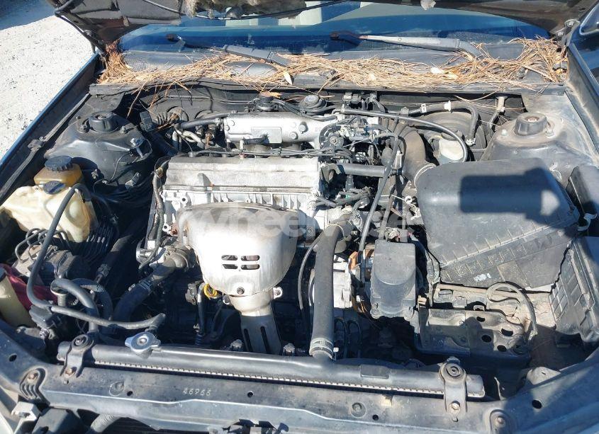 Photo 10 of 1998 Toyota Camry LE (VIN 4T1BG22K5WU267713)