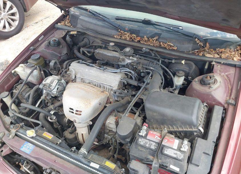 Photo 10 of 1999 Toyota Camry LE (VIN 4T1BG28KXXU602652)