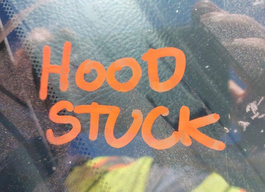 Photo 10 of 2005 Toyota Avalon XLS (VIN 4T1BK36B05U026672)