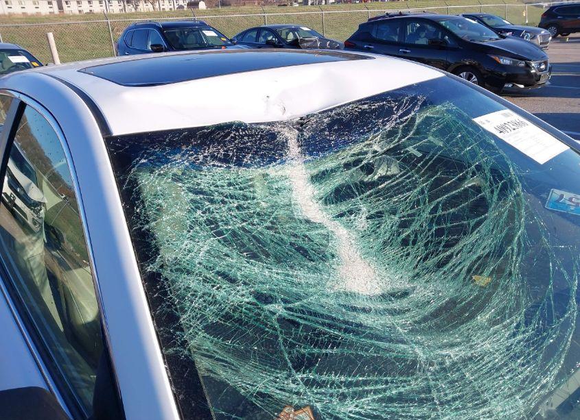 Photo 20 of 2009 Toyota Camry XLE V6 (VIN 4T1BK46K49U590949)