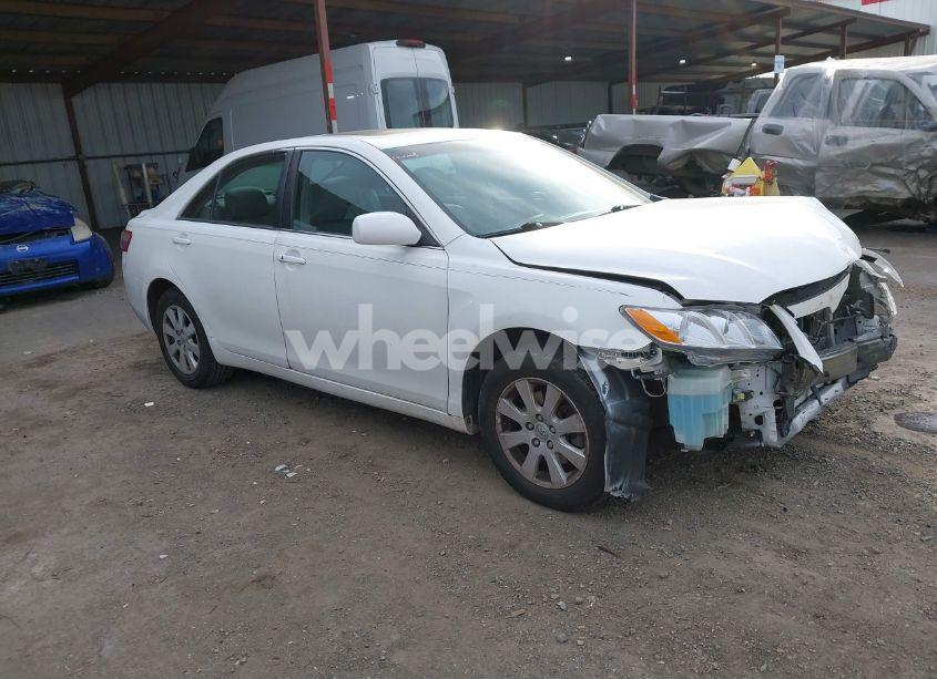 2009 Toyota Camry XLE V6 (VIN 4T1BK46K49U594340) main photo