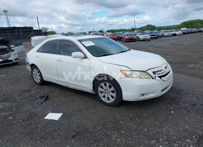 2009 Toyota Camry LE V6/SE V6/XLE V6 (VIN 4T1BK46K59U588966) main photo
