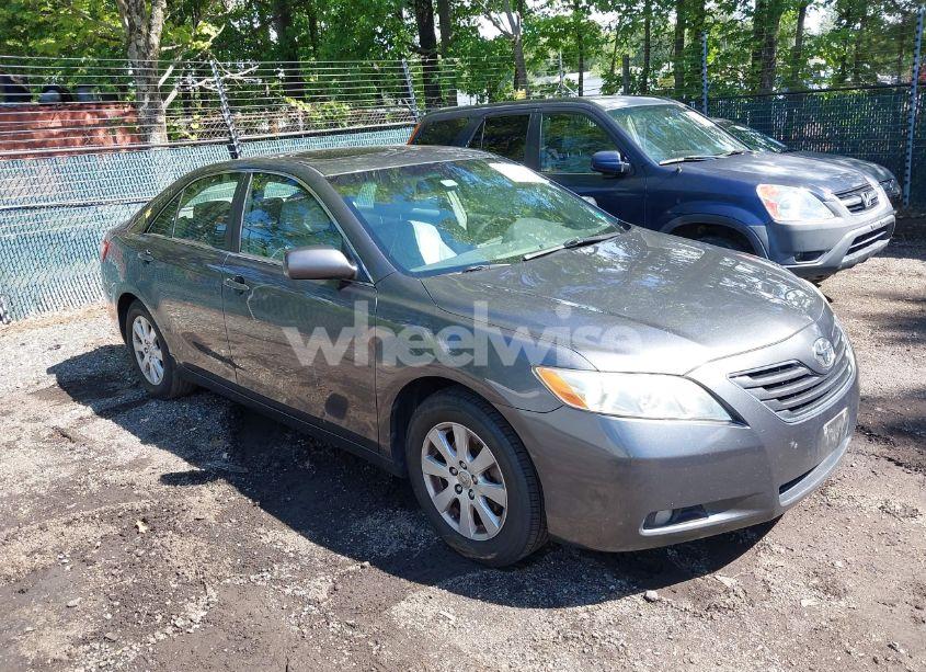 2009 Toyota Camry LE V6/SE V6/XLE V6 (VIN 4T1BK46KX9U095302) main photo