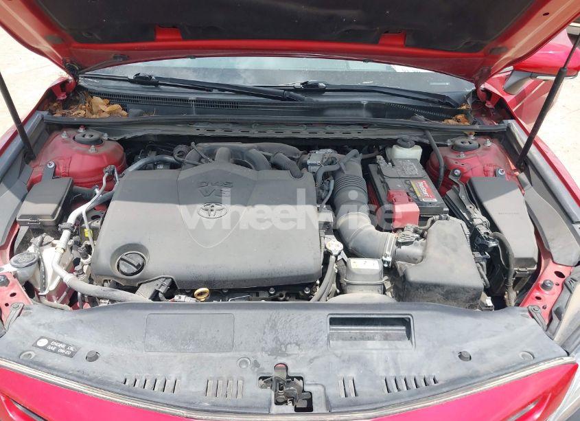 Photo 10 of 2019 Toyota Camry XSE V6 (VIN 4T1BZ1HK0KU022808)