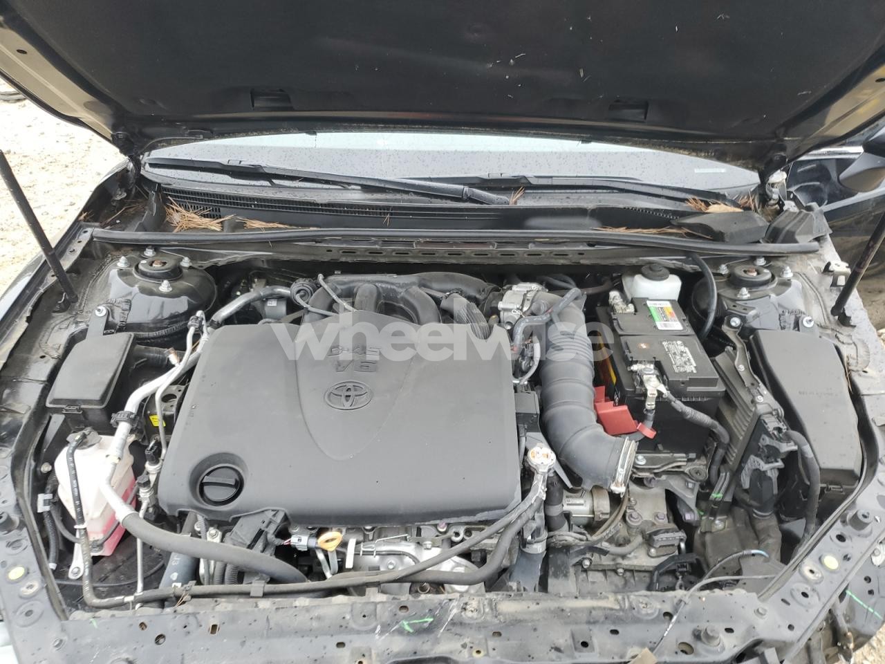 Photo 11 of 2019 TOYOTA CAMRY XSE (VIN 4T1BZ1HK3KU031244)