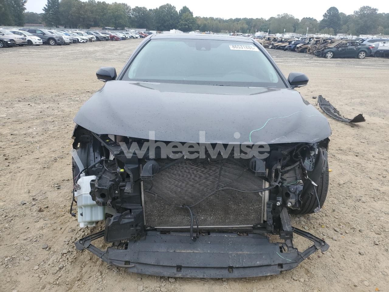 Photo 5 of 2019 TOYOTA CAMRY XSE (VIN 4T1BZ1HK3KU031244)