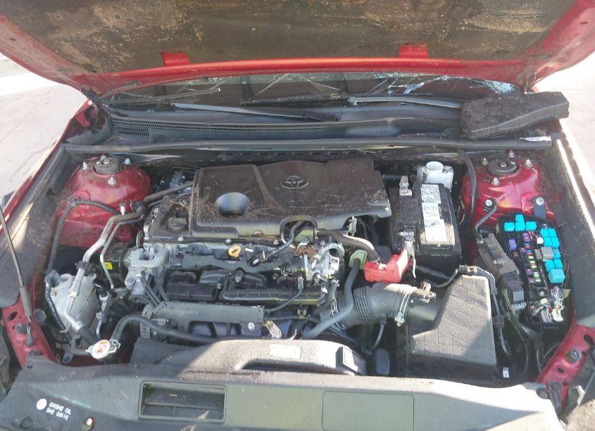 Photo 10 of 2021 Toyota Camry LE (VIN 4T1C11AK0MU466778)