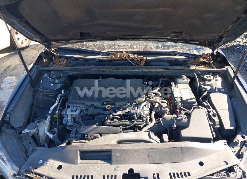 Photo 10 of 2021 Toyota Camry LE (VIN 4T1C11AK0MU546906)