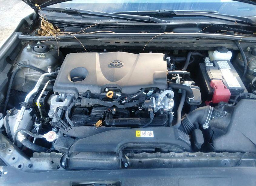 Photo 10 of 2023 Toyota Camry LE (VIN 4T1C11AK0PU838611)