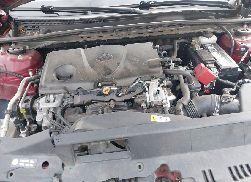 Photo 10 of 2020 Toyota Camry LE (VIN 4T1C11AK1LU942289)